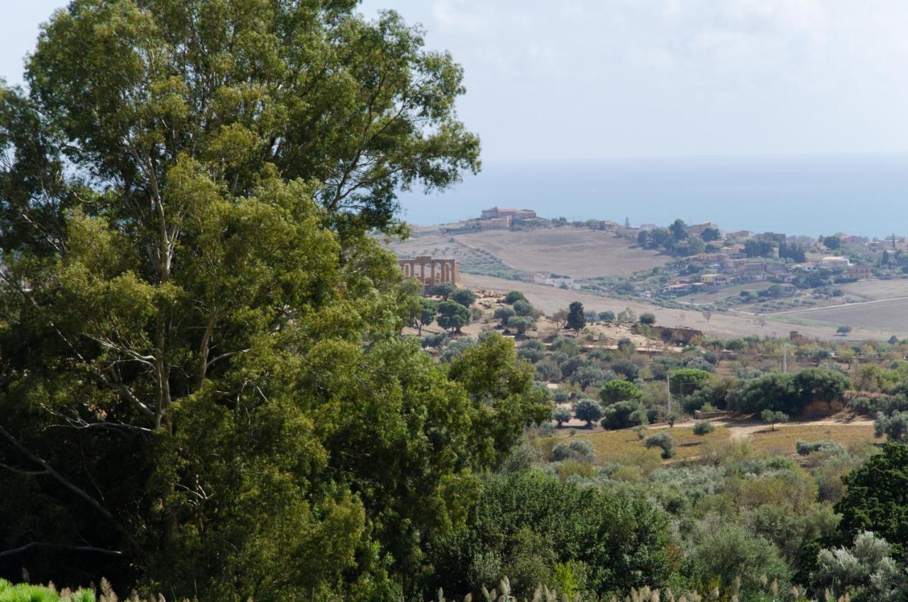 Panoramica Dei Templi B&B Αγκριτζέντο Εξωτερικό φωτογραφία